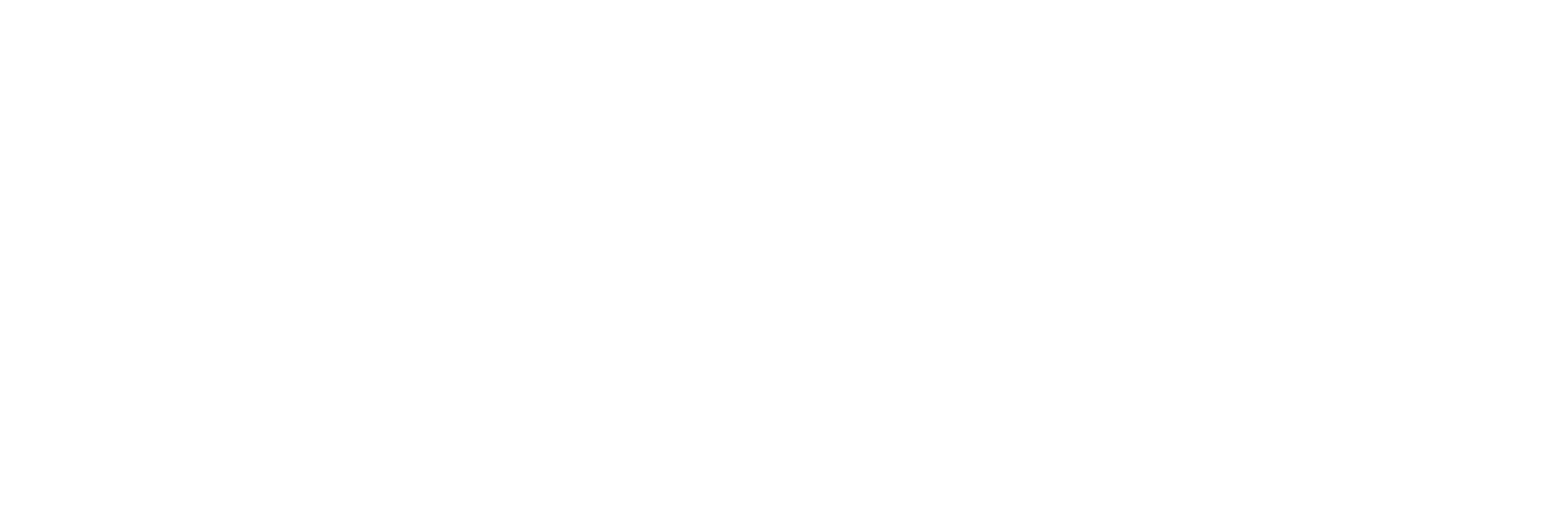 Homosappe